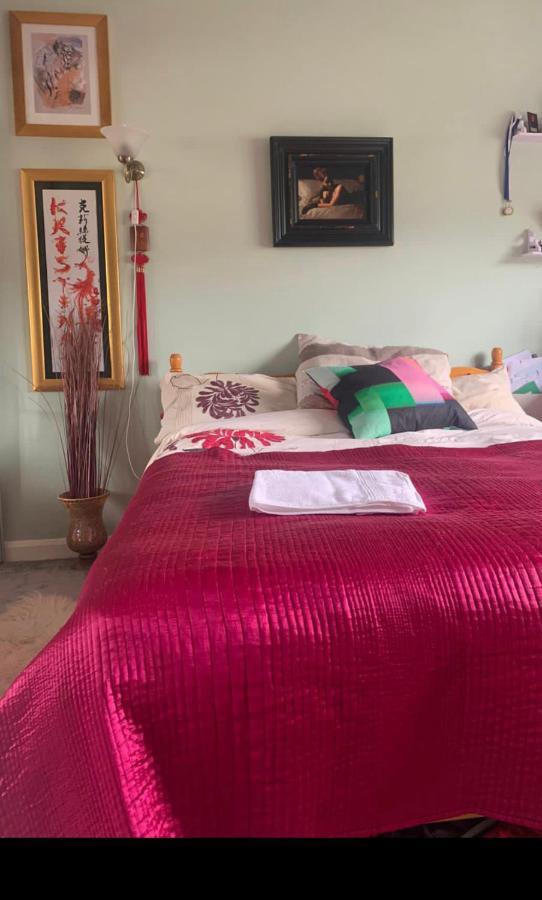 Cosy Room In London Wembley Екстериор снимка
