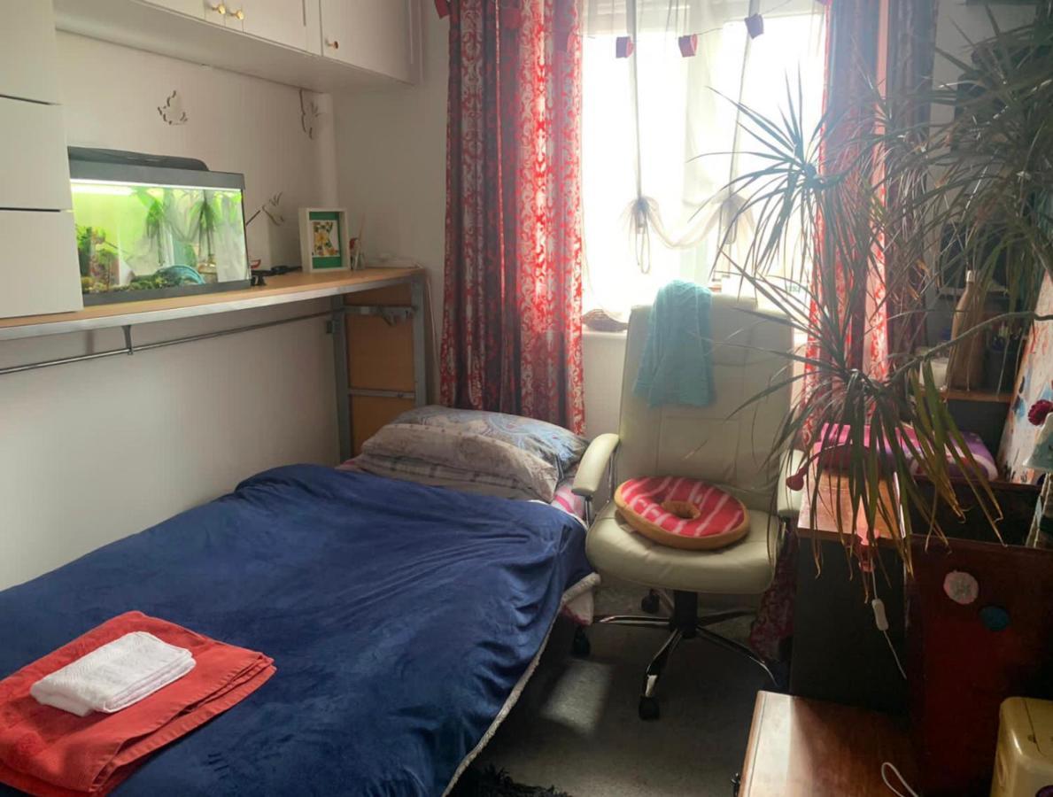 Cosy Room In London Wembley Екстериор снимка
